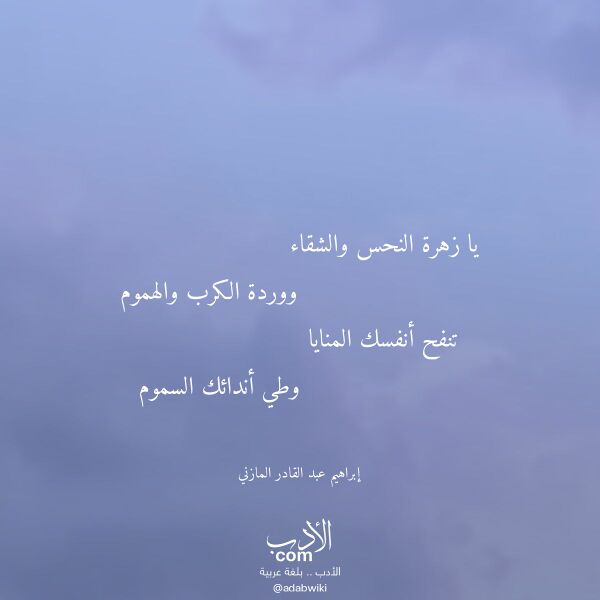 اقتباس من قصيدة يا زهرة النحس والشقاء لـ إبراهيم عبد القادر المازني